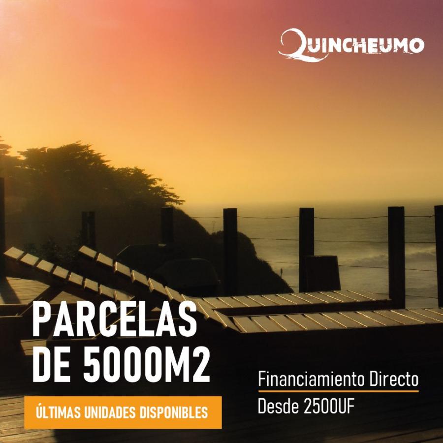 Foto Terreno en Venta en Fundo Quincheumo, Pichilemu, Cardenal Caro - 2000 hectareas - UFs 2.500 - TEV135109 - BienesOnLine