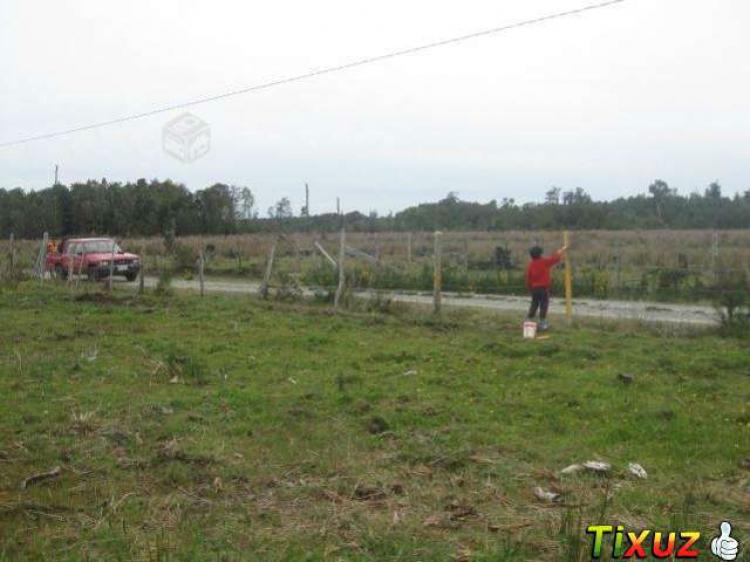 Foto Parcela en Venta en Ancud, Chiloe - 5 hectareas - $ 25.000.000 - PAV41784 - BienesOnLine