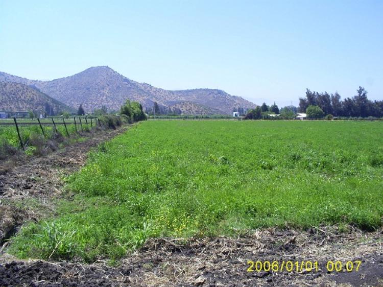 Foto Agricola en Venta en Batuco, Lampa, Chacabuco - 400000 hectareas - UFs 165.000.000 - AGV7395 - BienesOnLine