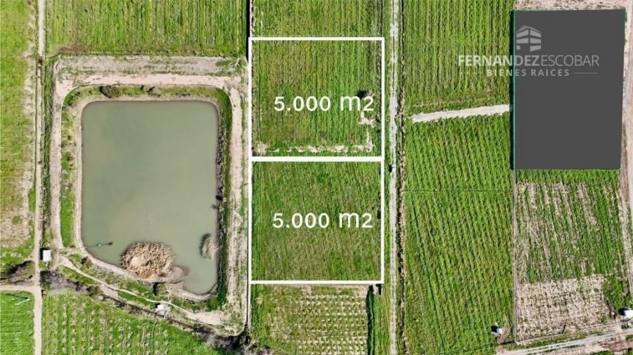 Foto Terreno en Venta en Santa María, San Felipe de Aconcagua - $ 50.000.000 - TEV155275 - BienesOnLine