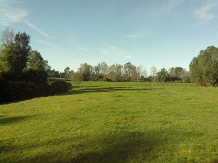 Foto Terreno en Arriendo en rural, Osorno, Osorno - 180 hectareas - $ 25.000.000 - TEA80472 - BienesOnLine