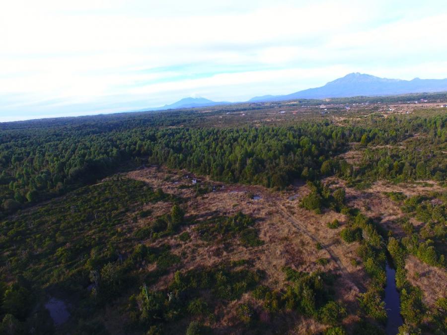 Foto Agricola en Venta en Alerce, Llanquihue - 9 hectareas - $ 140.000.000 - AGV108052 - BienesOnLine