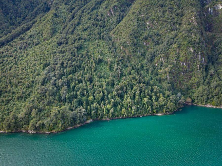 Foto Terreno en Venta en Lago Tagua Tagua, Cocham, Llanquihue - $ 310.000.000 - TEV125130 - BienesOnLine
