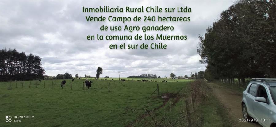 Foto Agricola en Venta en Estaquilla, Los Muermos, Llanquihue - 244 hectareas - UFs 77.350 - AGV123962 - BienesOnLine