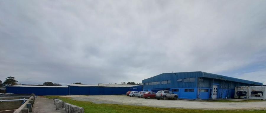 Foto Industrial en Venta en COSTERA, Carelmapu, Llanquihue - INV145051 - BienesOnLine