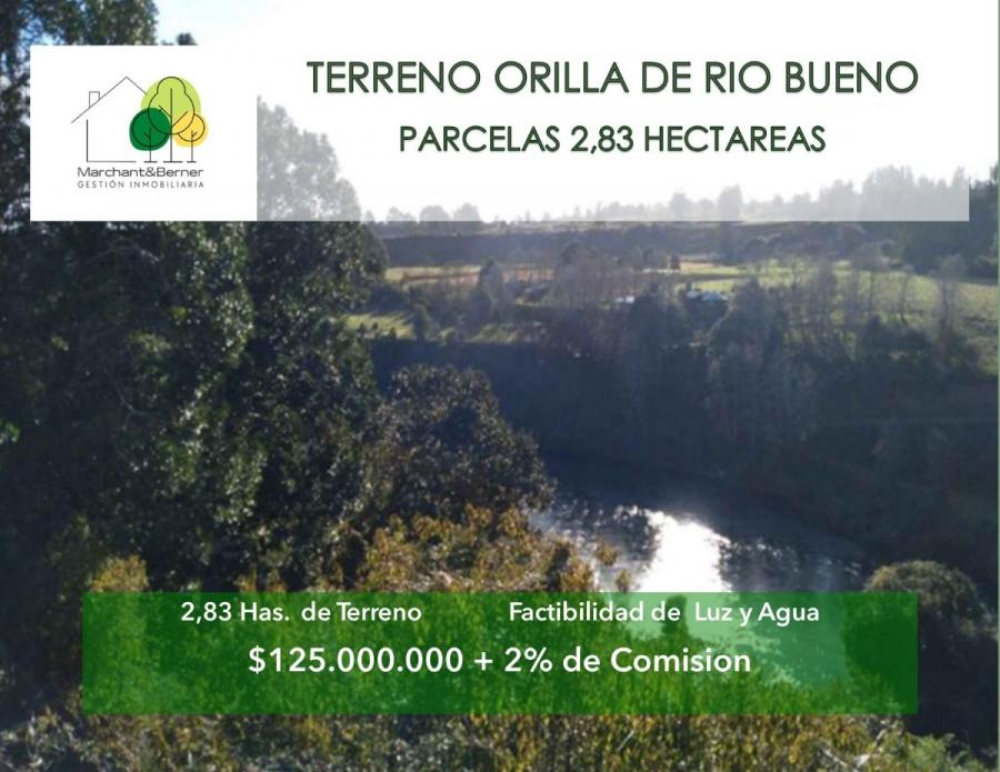Foto Terreno en Venta en Camino a Lago Ranco, Río Bueno, Valdivia - 2 hectareas - $ 125.000.000 - TEV129225 - BienesOnLine