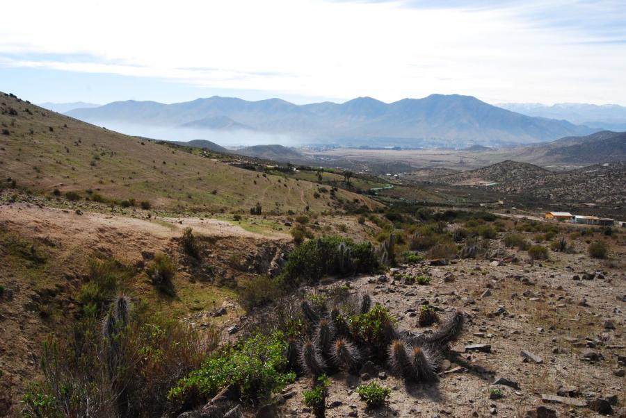 Foto Terreno en Venta en valle de elqui, La Serena, Elqui - 1 hectareas - $ 38.000.000 - TEV126842 - BienesOnLine