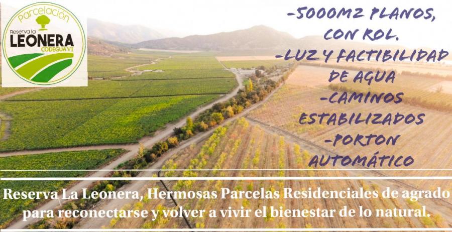 Foto Terreno en Venta en Reserva La Leonera, Graneros, Cachapoal - $ 30.600.000 - TEV89076 - BienesOnLine