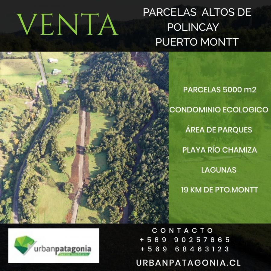 Foto Parcela en Venta en Puerto Montt, Llanquihue - $ 40.000.000 - PAV111228 - BienesOnLine