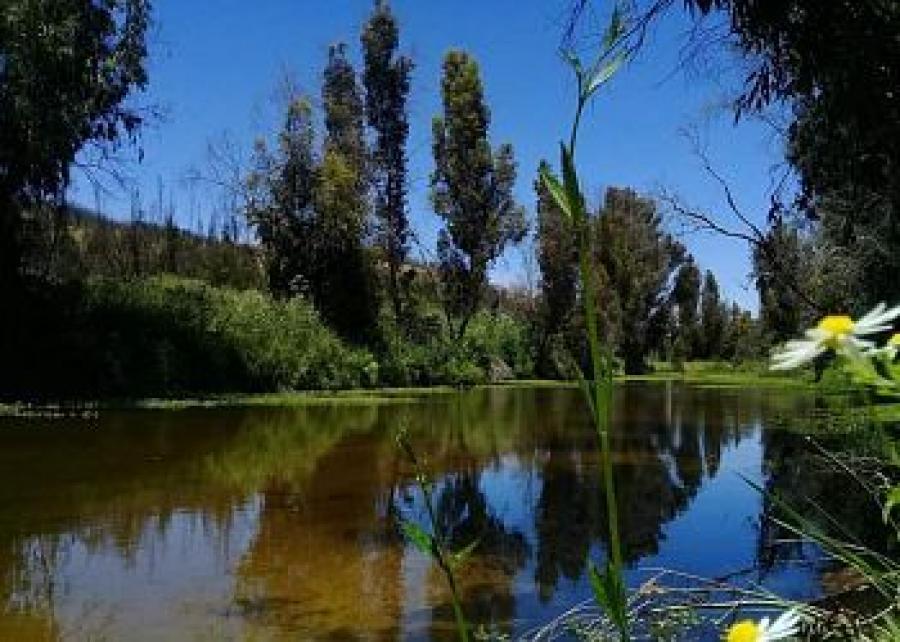 Foto Parcela en Venta en Santa Cruz, Santa Cruz, Colchagua - 5000 hectareas - $ 6.990.000 - PAV86940 - BienesOnLine