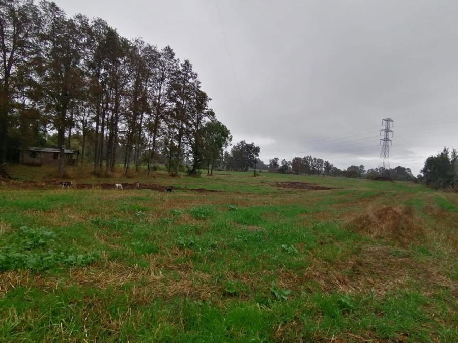 Foto Terreno en Venta en Norte, Sector  Rapaco, Valdivia - $ 45.000.000 - TEV144586 - BienesOnLine