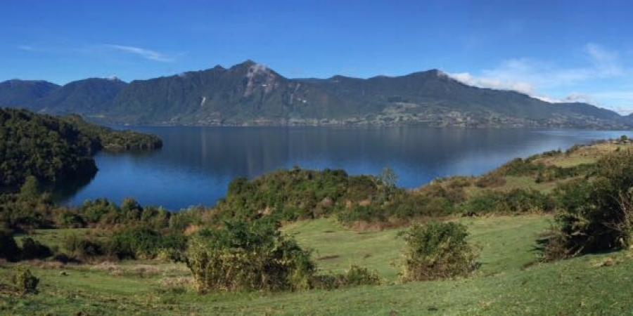 Foto Terreno en Venta en Peninsula de Illahuapi, Lago Ranco, Valdivia - $ 350.000.000 - TEV98023 - BienesOnLine