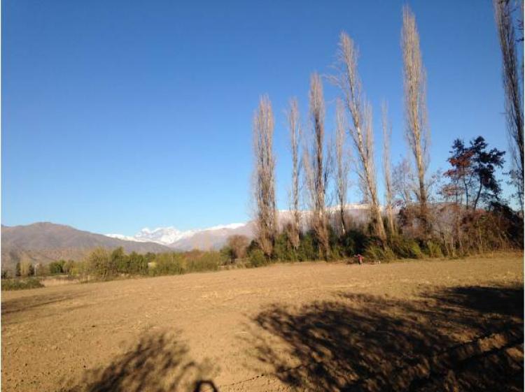 Foto Terreno en Venta en San Esteban, Los Andes - $ 800.000.000 - TEV31374 - BienesOnLine