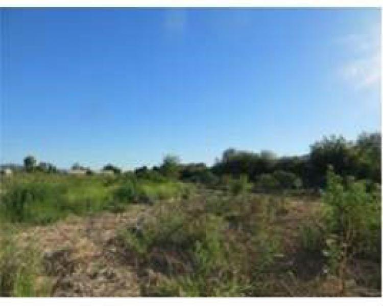 Foto Terreno en Venta en Quillota, Quillota - 1 hectareas - $ 65.000.000 - TEV32531 - BienesOnLine