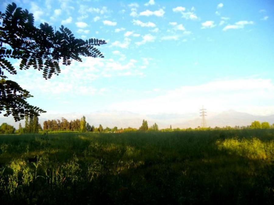 Home in Metric Way