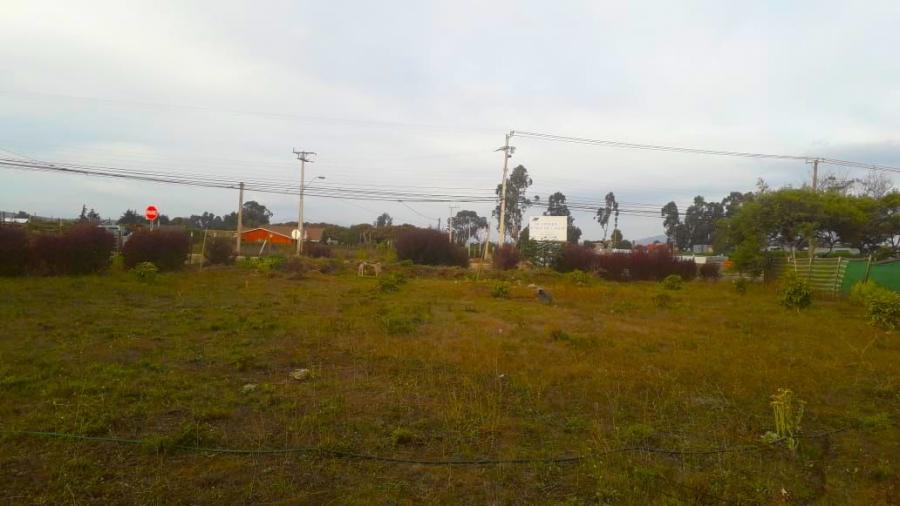 Foto Terreno en Venta en Santo Domingo, San Antonio - UFs 4.500 - TEV121121 - BienesOnLine