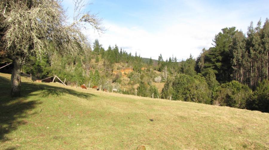 Foto Terreno en Venta en Casablanca, Valdivia, Valdivia - UFs 2.050 - TEV128508 - BienesOnLine