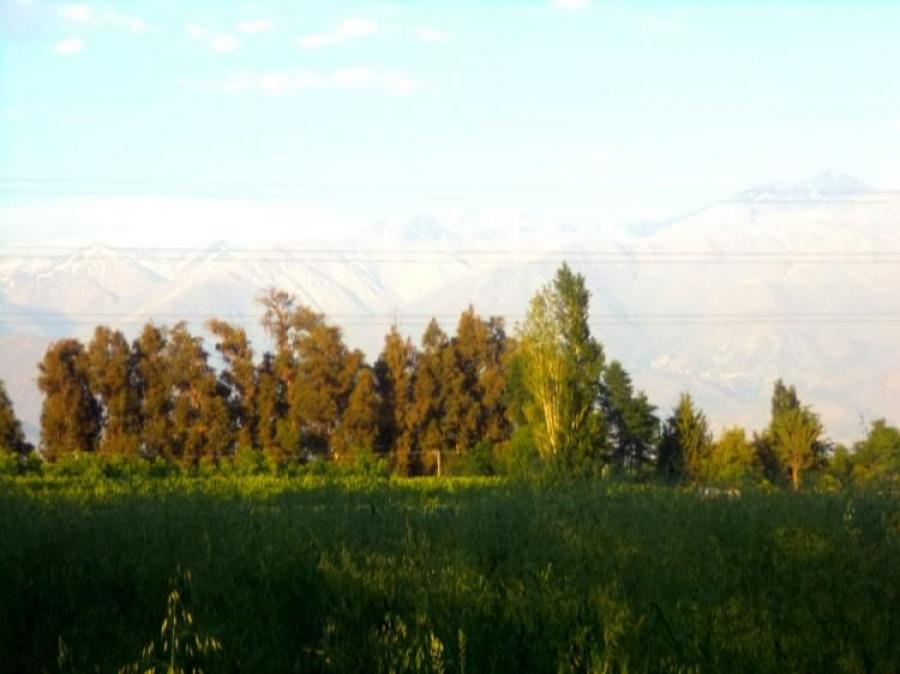 Foto Terreno en Venta en Rinconada, Los Andes - 5 hectareas - $ 1.200.000.000 - TEV98806 - BienesOnLine