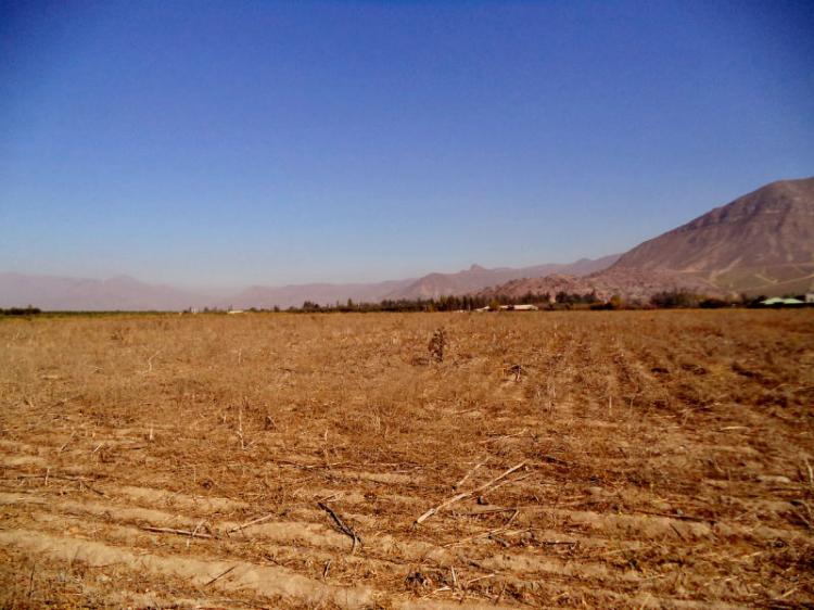 Foto Industrial en Venta en San Felipe, San Felipe de Aconcagua - 30 hectareas - UFs 210.000 - INV28307 - BienesOnLine