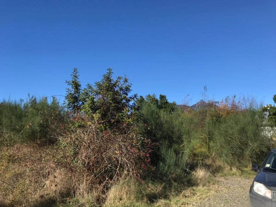 Foto Terreno en Venta en Pucón, Cautin - UFs 1.030 - TEV121914 - BienesOnLine