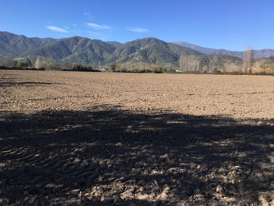 Foto Agricola en Venta en Valle Quilicura, Las Cabras, Colchagua - 4 hectareas - $ 440.000.000 - AGV98079 - BienesOnLine