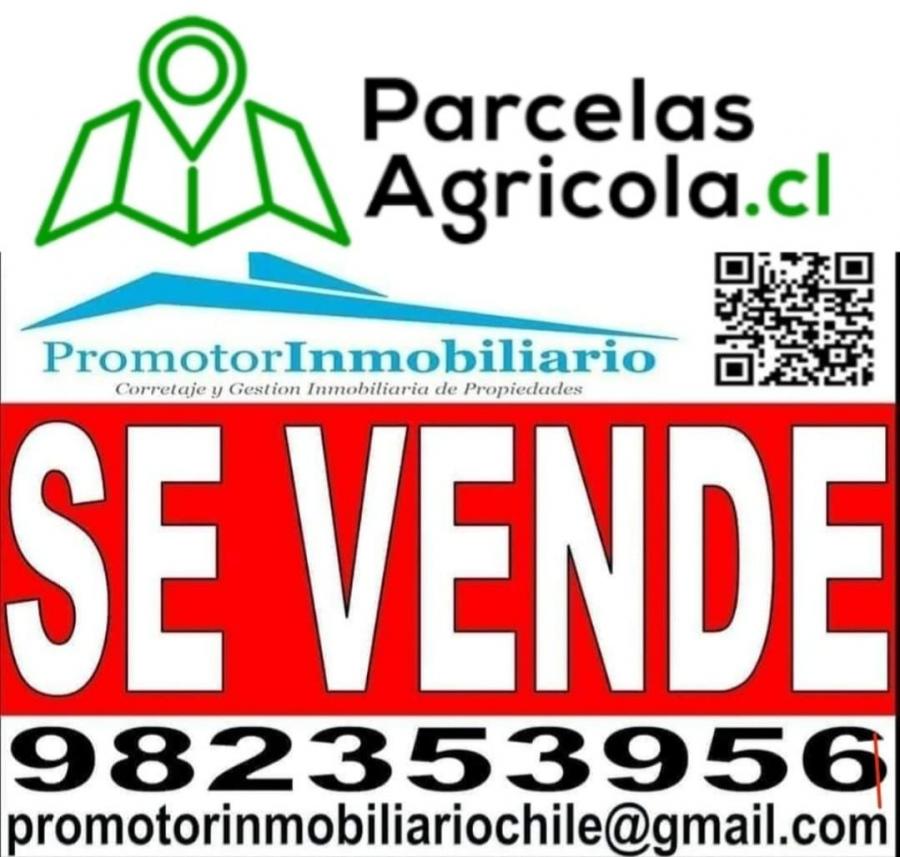 Foto Agricola en Venta en Requnoa, Cachapoal - $ 635.180.000 - AGV144714 - BienesOnLine
