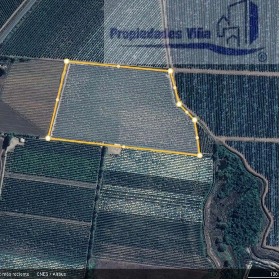 Foto Agricola en Venta en Molina, Talca - 7 hectareas - UFs 6.100 - AGV147924 - BienesOnLine