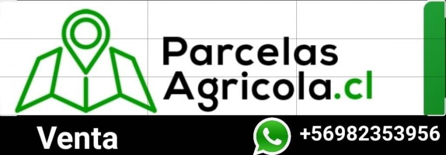 Foto Agricola en Venta en Requnoa, Cachapoal - $ 180.000.000 - AGV144713 - BienesOnLine
