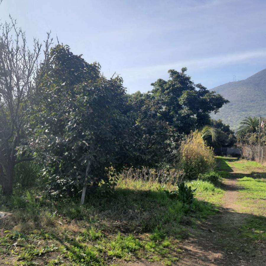 Foto Terreno en Venta en Hijuelas, Quillota - $ 130.000.000 - TEV143559 - BienesOnLine