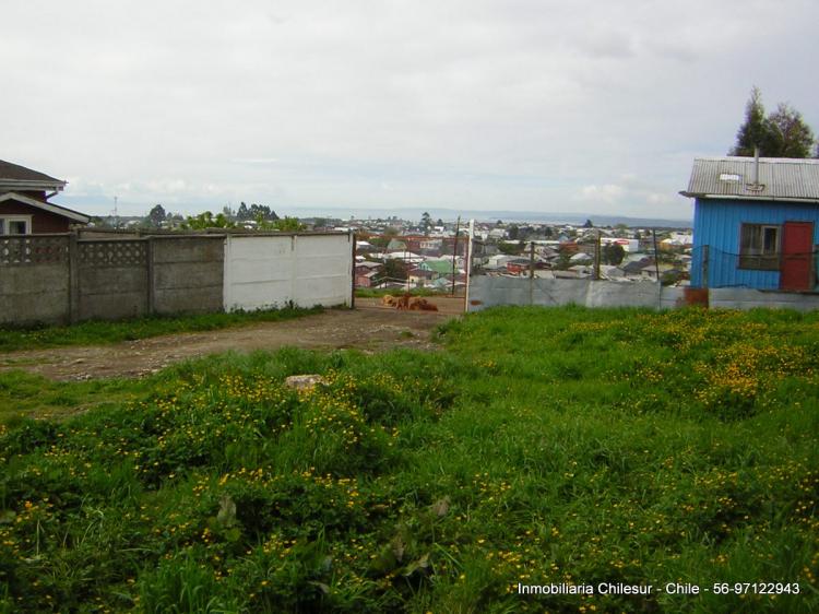 Foto Terreno en Venta en Puerto Montt, Llanquihue - $ 12.000.000 - TEV11629 - BienesOnLine