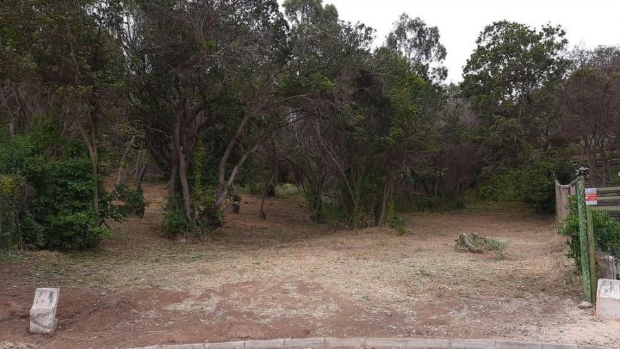 Foto Terreno en Venta en Papudo, Petorca - UFs 4.700 - TEV130026 - BienesOnLine