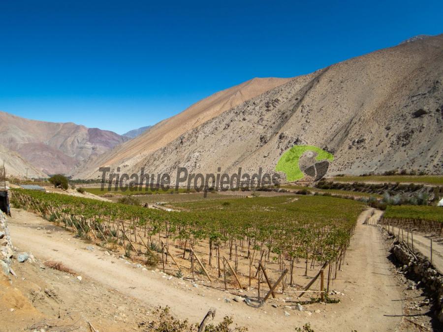Foto Terreno en Venta en Valle del Elqui, Quebrada de Paihuano, Elqui - $ 230.000.000 - TEV148745 - BienesOnLine