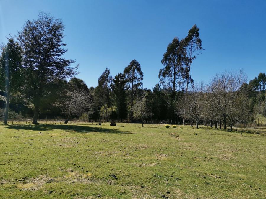 Foto Terreno en Venta en Puyehue, Osorno - 2 hectareas - $ 75.000.000 - TEV129610 - BienesOnLine