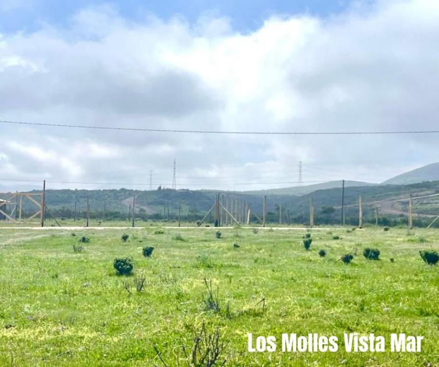 Foto Terreno en Venta en la ligua, Petorca - $ 10.500.000 - TEV137416 - BienesOnLine