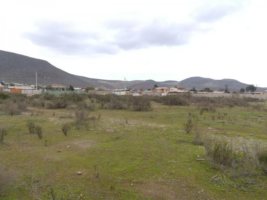 Foto Terreno en Venta en Rinconada El Sauce, Coquimbo, Coquimbo, Elqui - UFs 9.310 - TEV134619 - BienesOnLine