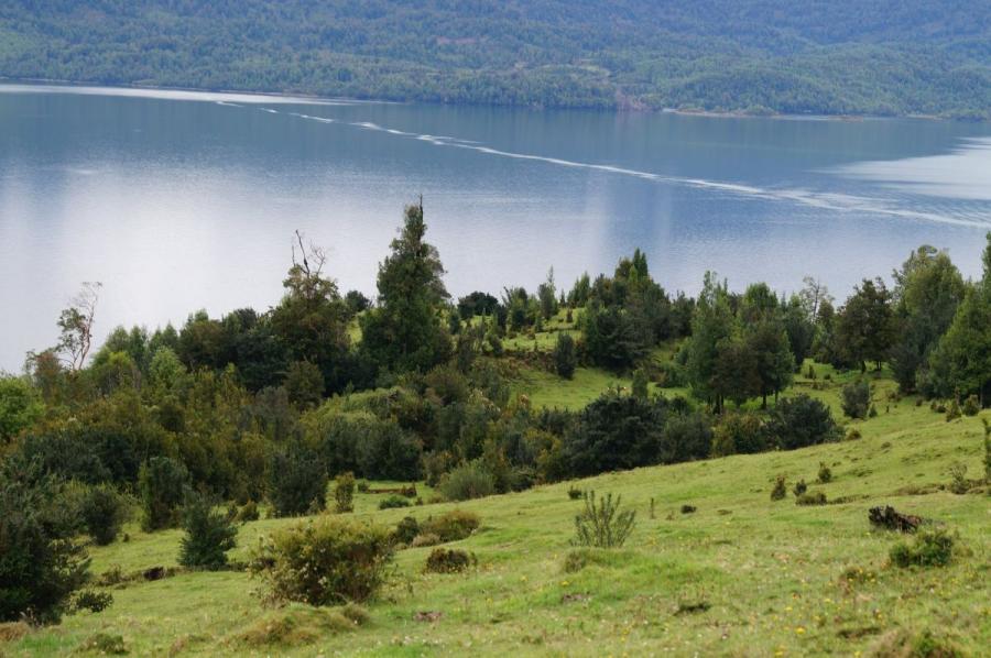 Foto Terreno en Venta en Puyuhuapi, Aisen - 46 hectareas - $ 250.000.000 - TEV130445 - BienesOnLine