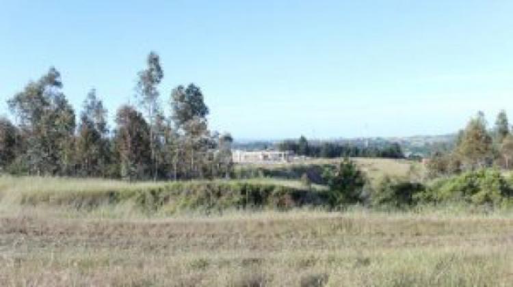 Foto Terreno en Venta en Yumbel, Biobio - 18 hectareas - TEV68816 - BienesOnLine