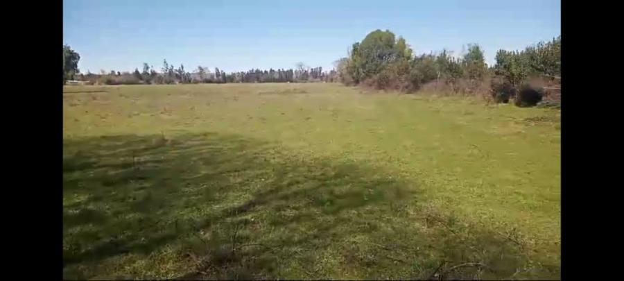 Foto Parcela en Venta en Pitrufquén, Cautin - 7 hectareas - $ 12.700 - PAV156628 - BienesOnLine