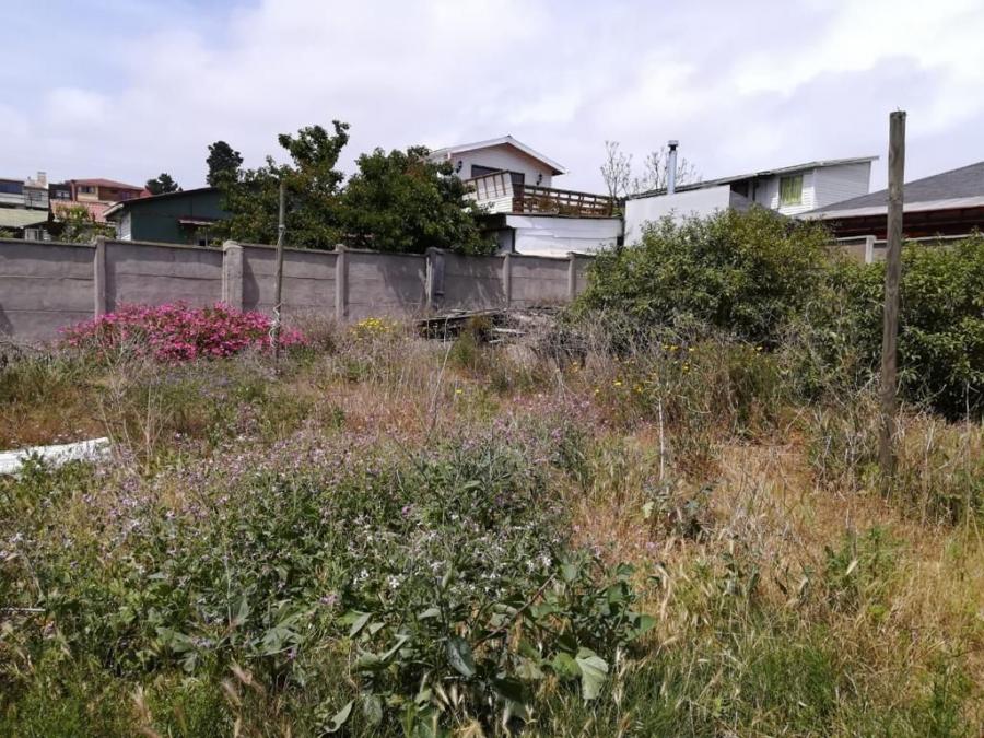 Foto Terreno en Venta en Concn, Valparaiso - $ 110.000.000 - TEV94448 - BienesOnLine