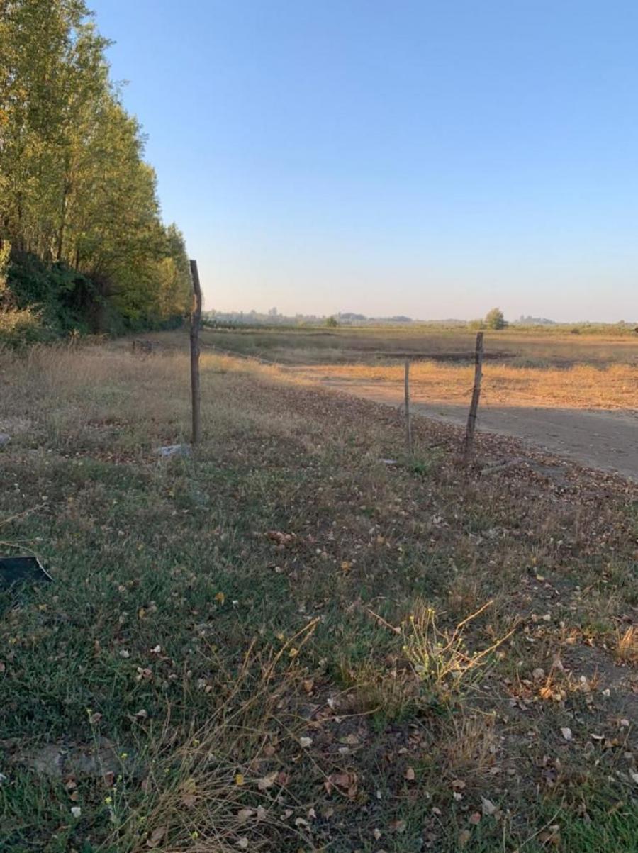 Foto Terreno en Venta en rural e industrial, Cerca de las tres esquinas, Curicó - $ 450 - TEV142589 - BienesOnLine
