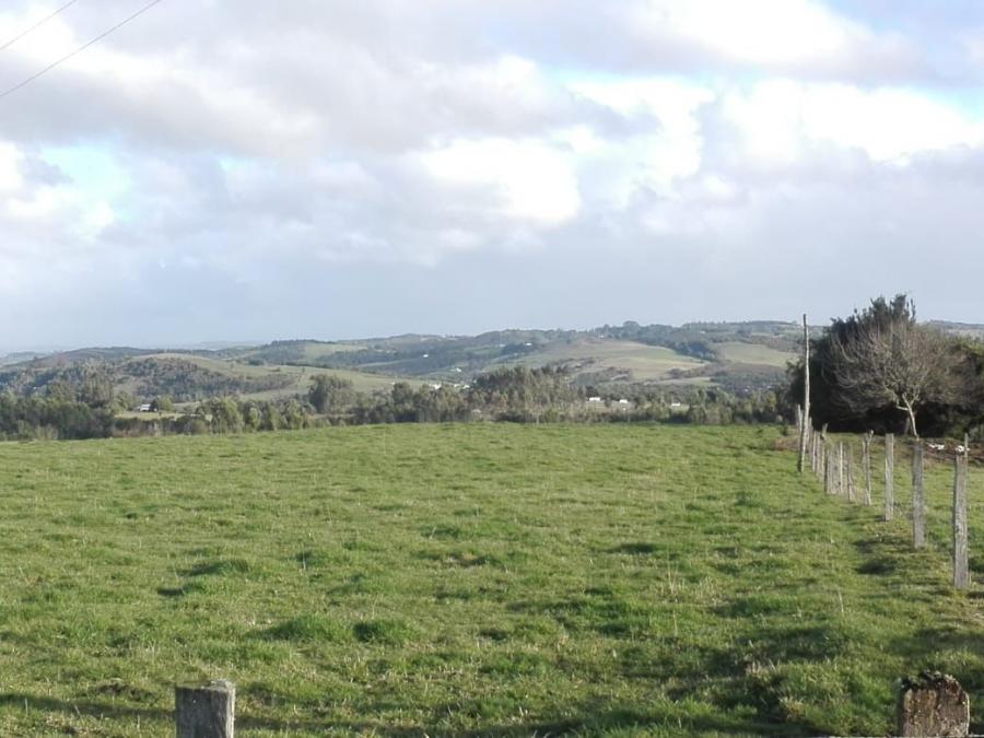 Foto Agricola en Venta en Los Muermos, Llanquihue - $ 425.000.000 - AGV98541 - BienesOnLine