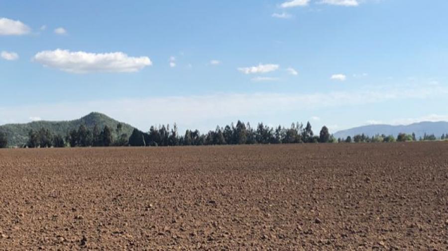 Foto Agricola en Venta en iqun, uble - $ 1.800.000.000 - AGV146227 - BienesOnLine