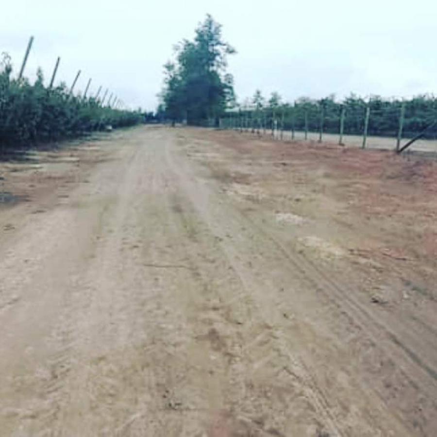 Foto Agricola en Venta en Placilla, Colchagua - 14 hectareas - $ 560.000.000 - AGV144394 - BienesOnLine