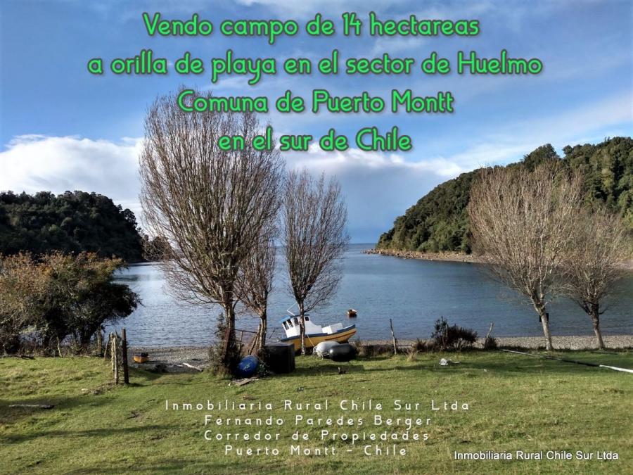 Foto Agricola en Venta en Huelmo, Puerto Montt, Llanquihue - 14 hectareas - $ 870.000.000 - AGV114845 - BienesOnLine
