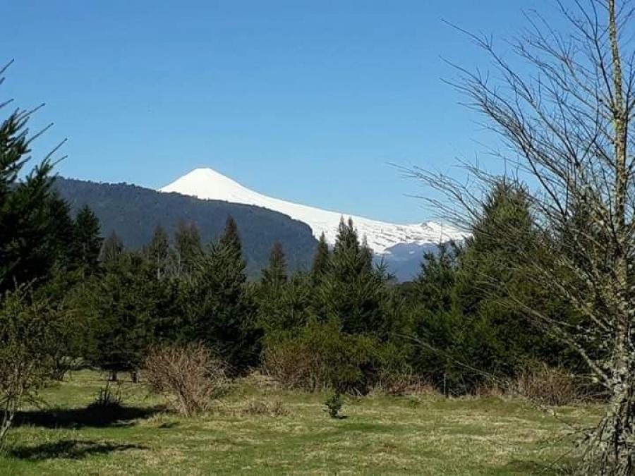 Foto Terreno en Venta en Villarrica, Cautin - 3 hectareas - $ 29.000.000 - TEV94350 - BienesOnLine