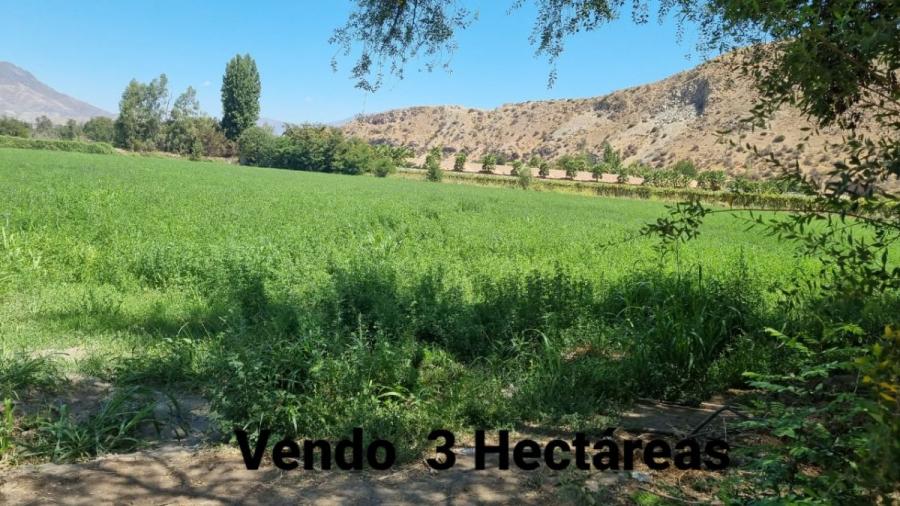 Foto Terreno en Venta en San Felipe, San Felipe de Aconcagua - TEV142358 - BienesOnLine