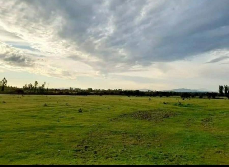 Foto Agricola en Venta en Piguchen, Retiro, Talca - 40 hectareas - $ 26.000.000 - AGV121442 - BienesOnLine