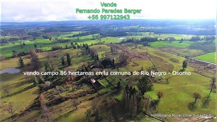 Foto Agricola en Venta en Ro Negro, Osorno - 86 hectareas - $ 1.376.000.000 - AGV110252 - BienesOnLine