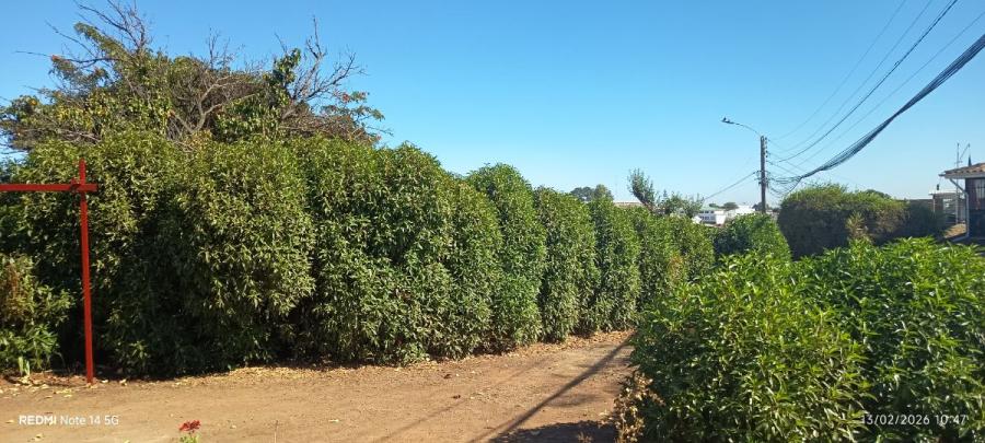 Foto Casa en Venta en Viña del Mar, Valparaiso - $ 123.000.000 - CAV159035 - BienesOnLine