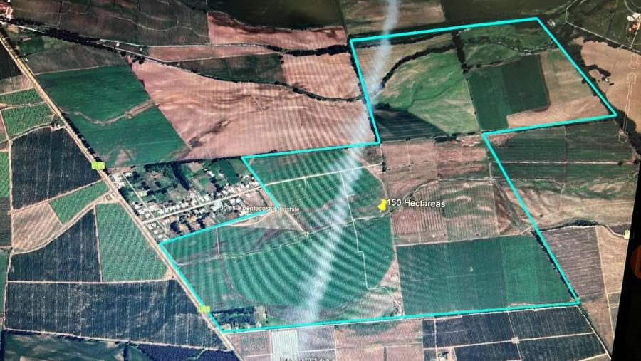 Foto Agricola en Venta en Rural, San Javier, Linares - 150 hectareas - $ 32.000.000 - AGV155946 - BienesOnLine